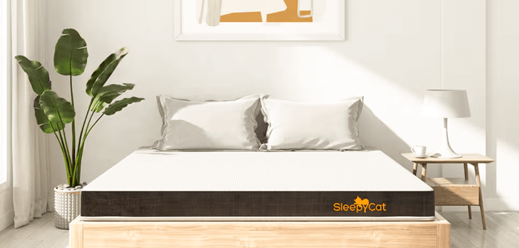sleepycat-banner